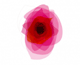Interactive Creative image